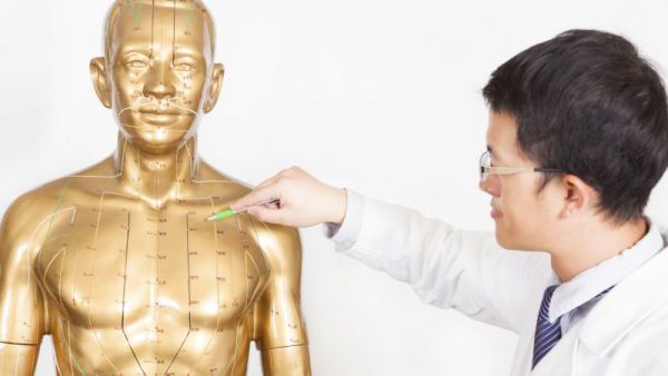 機體主要有哪些穴位