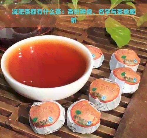 減肥茶都有什么茶：茶葉種類、名字與茶類解析
