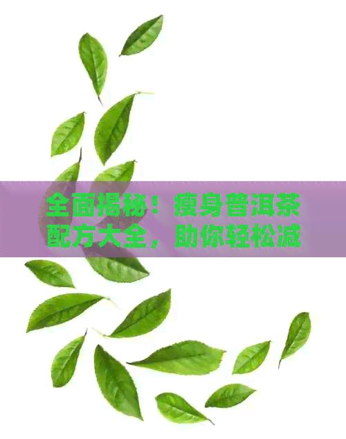 全面揭秘！瘦身普洱茶配方大全，助你輕松減肥塑身