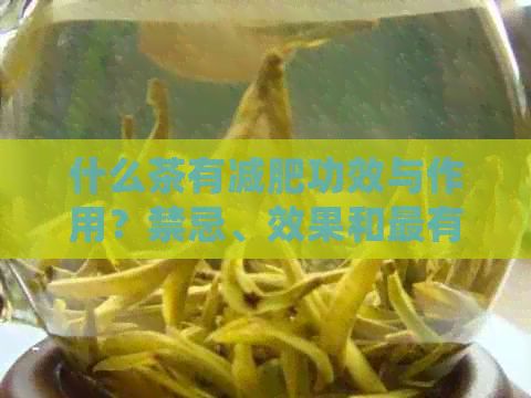 什么茶有減肥功效與作用？禁忌、效果和最有效茶種全解析