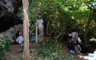 東北話的許多詞匯，其實是日語？