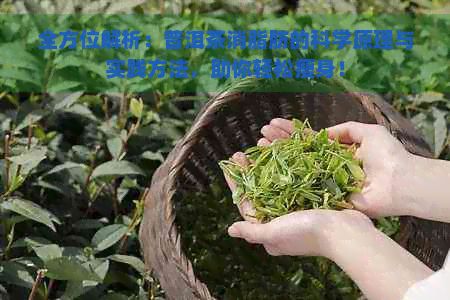 全方位解析：普洱茶消脂肪的科學(xué)原理與實(shí)踐方法，助你輕松瘦身！