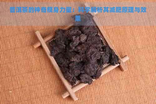 普洱茶的神奇瘦身力量：科學(xué)解析其減肥原理與效果