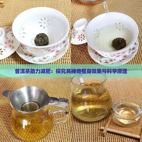 普洱茶助力减肥：探究其神奇瘦身效果与科学原理