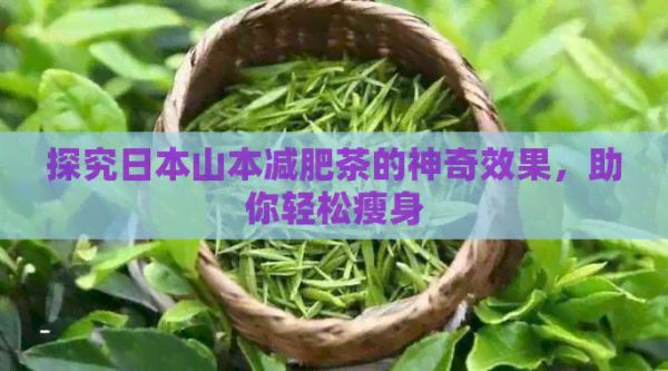 探究山本減肥茶的神奇效果，助你輕松瘦身