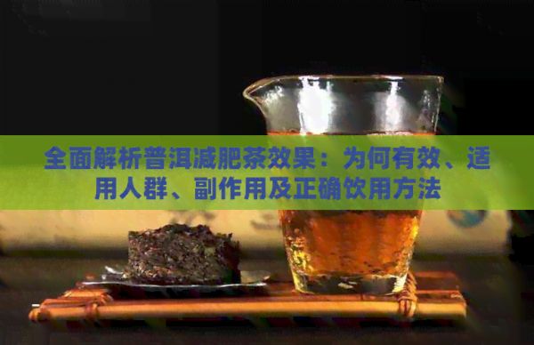 全面解析普洱减肥茶效果：为何有效、适用人群、副作用及正确饮用方法