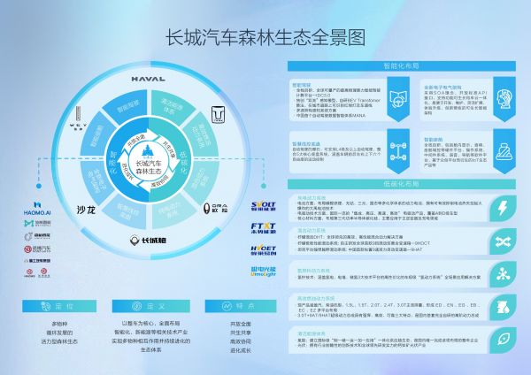 森林生態(tài).jpeg