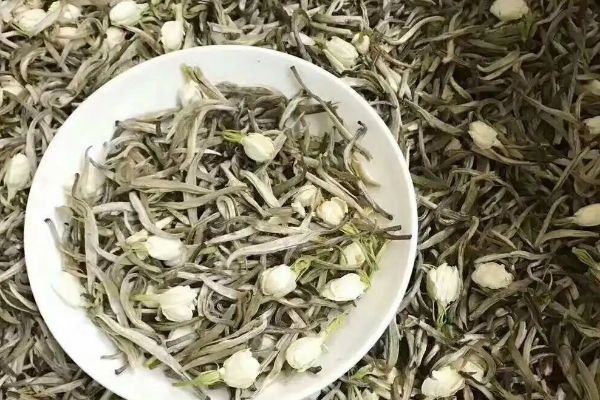 茉莉花茶可以長期喝嗎，長期喝茉莉花茶對身體有好處
