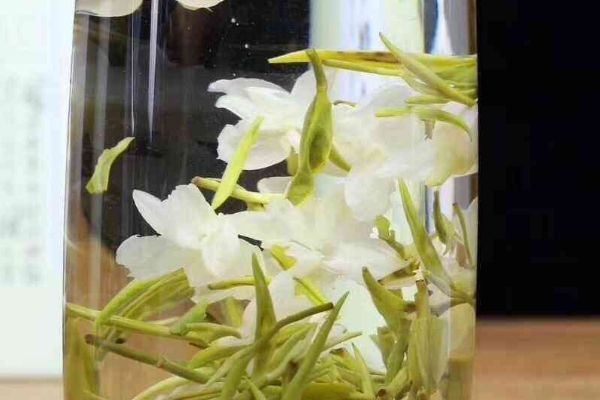 茉莉花茶可以長期喝嗎，長期喝茉莉花茶對身體有好處