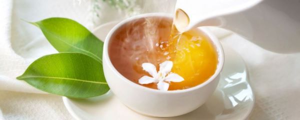 女人喝茉莉花茶好嗎 喝茉莉花茶的好處 茉莉花茶的功效與作用