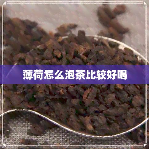 薄荷怎么泡茶比较好喝