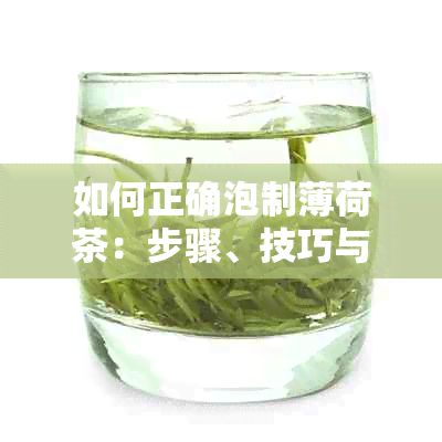 如何正确泡制薄荷茶：步骤、技巧与口味调整，让你的日清凉更上一层楼