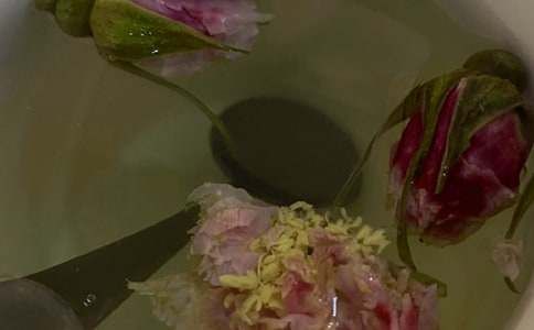 自制茉莉花茶的方法