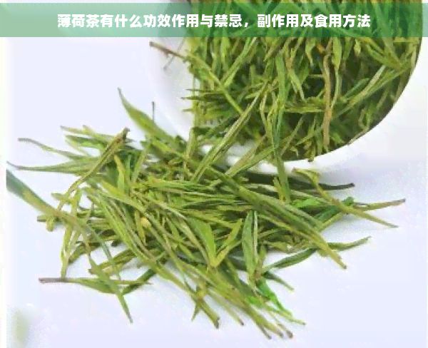 薄荷茶有什么功效作用與禁忌，副作用及食用方法