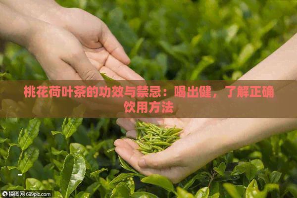 桃花荷葉茶的功效與禁忌：喝出健，了解正確飲用方法