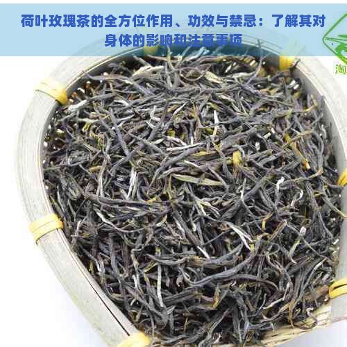 荷葉玫瑰茶的全方位作用、功效與禁忌：了解其對身體的影響和注意事項