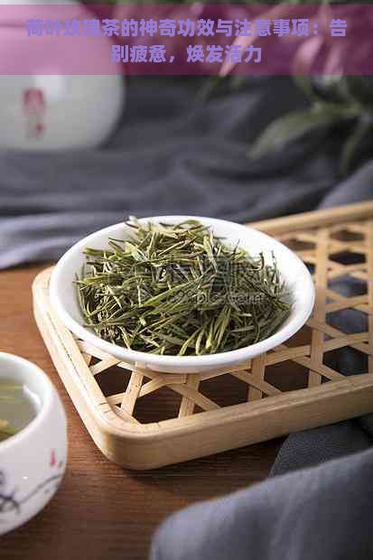 荷葉玫瑰茶的神奇功效與注意事項：告別疲憊，煥發(fā)活力