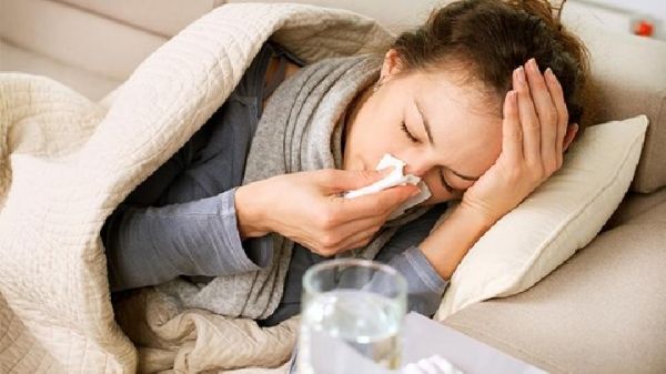 助于女性養(yǎng)生的花茶有哪些 什么花茶助于女性養(yǎng)生