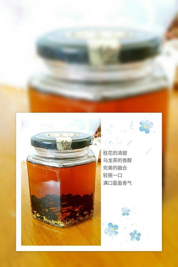 桂花烏龍茶的做法
