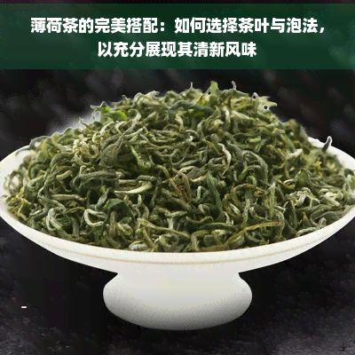 薄荷茶的完美搭配：如何選擇茶葉與泡法，以充分展現(xiàn)其清新風(fēng)味