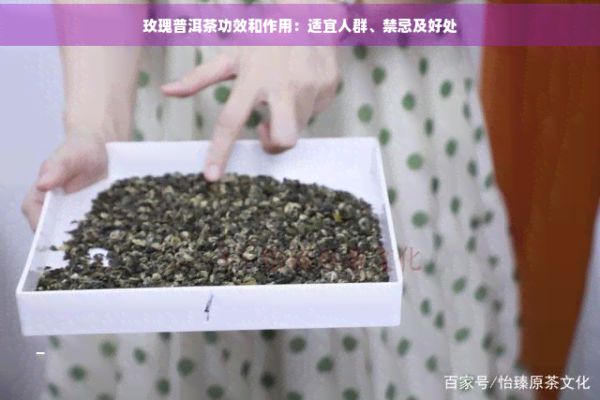 玫瑰普洱茶功效和作用：適宜人群、禁忌及好處