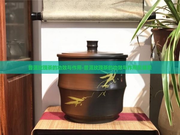 普洱玫瑰茶的功效與作用-普洱玫瑰茶的功效與作用及禁忌