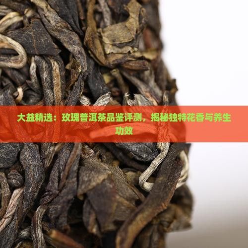 大益精选：玫瑰普洱茶品鉴评测，揭秘独特花香与养生功效