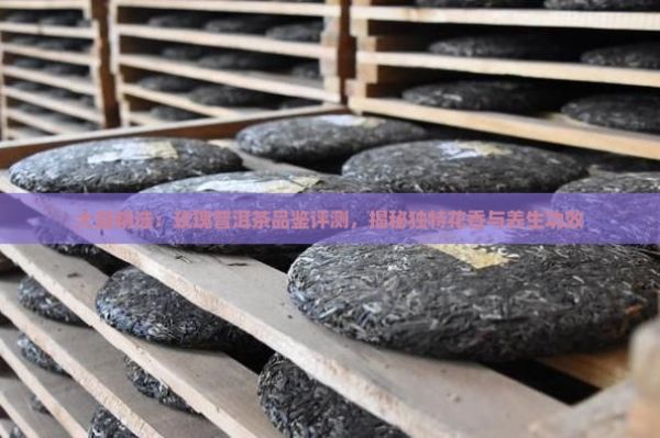大益精选：玫瑰普洱茶品鉴评测，揭秘独特花香与养生功效