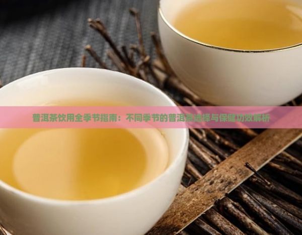 普洱茶饮用全季节指南：不同季节的普洱茶选择与保健功效解析