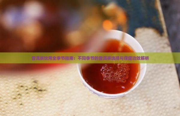 普洱茶饮用全季节指南：不同季节的普洱茶选择与保健功效解析