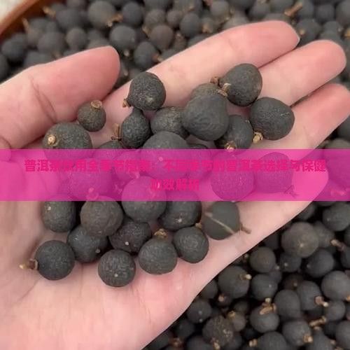 普洱茶饮用全季节指南：不同季节的普洱茶选择与保健功效解析