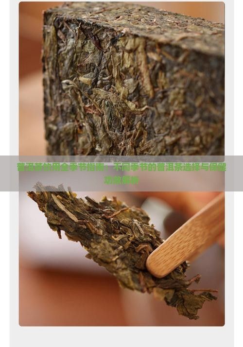 普洱茶饮用全季节指南：不同季节的普洱茶选择与保健功效解析