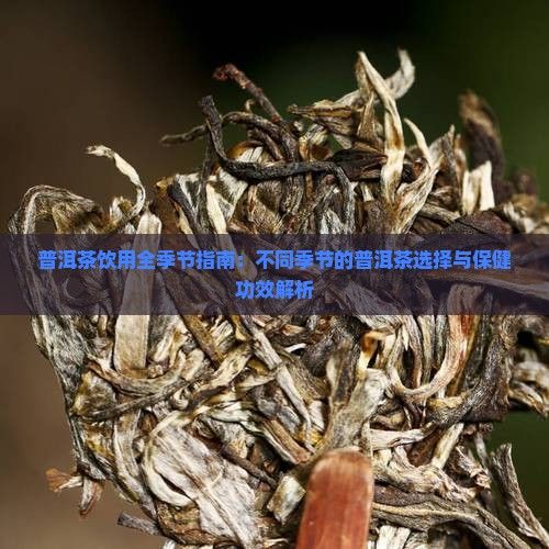 普洱茶饮用全季节指南：不同季节的普洱茶选择与保健功效解析