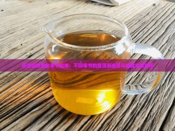 普洱茶饮用全季节指南：不同季节的普洱茶选择与保健功效解析