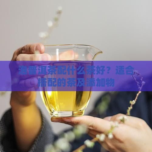 泡普洱茶配什么茶好？適合搭配的茶及添加物