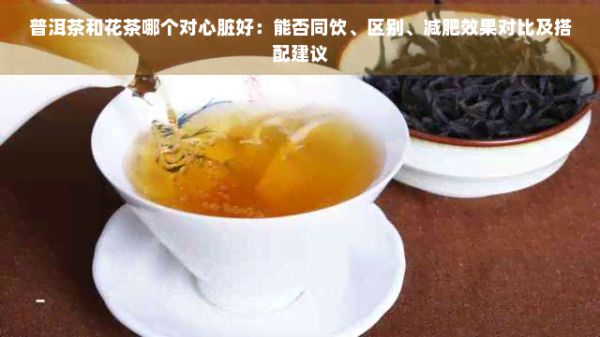 普洱茶和花茶哪个对心脏好：能否同饮、区别、减肥效果对比及搭配建议