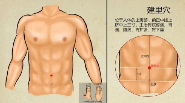 中醫(yī)常見減肥膳食有哪些 常見的健康減肥的中藥材有哪些