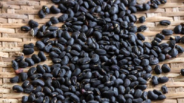 減肥如何消水腫？推薦最強(qiáng)的番茄消水腫減肥法