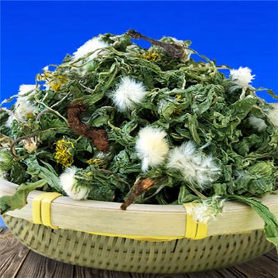 蒲公英茶的功效與禁忌 關(guān)于蒲公英茶你要知道這些事