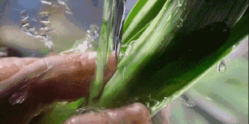 農(nóng)藥殘留？專家教你正確果蔬清洗方法