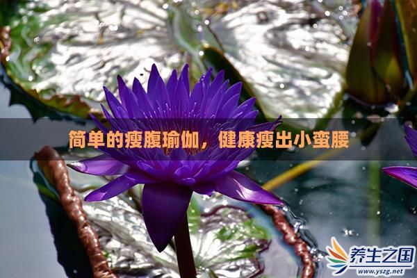 簡單的瘦腹瑜伽，健康瘦出小蠻腰