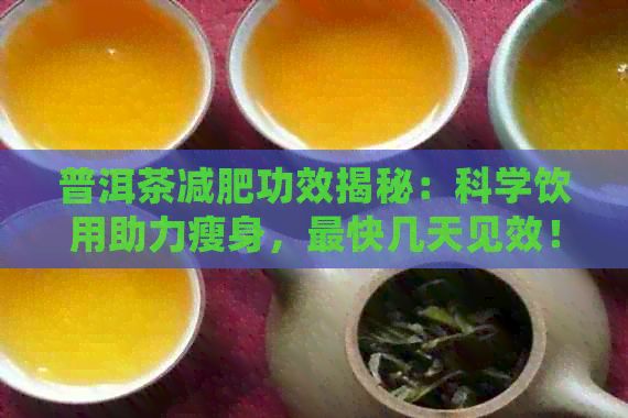 普洱茶減肥功效揭秘：科學飲用助力瘦身，最快幾天見效！