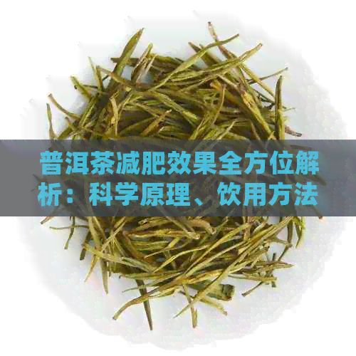 普洱茶减肥效果全方位解析:科学原理、饮用方法与注意事项,助您轻松瘦身