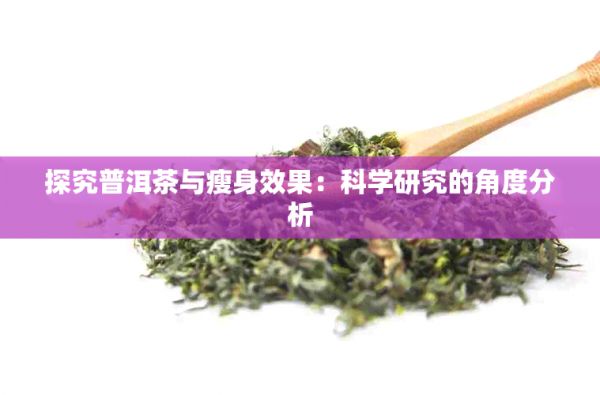 探究普洱茶與瘦身效果：科學(xué)研究的角度分析