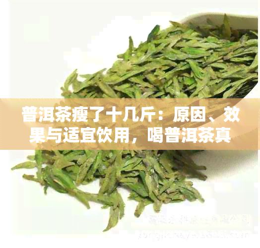 普洱茶瘦了十幾斤：原因、效果與適宜飲用，喝普洱茶真的能瘦身10斤嗎？