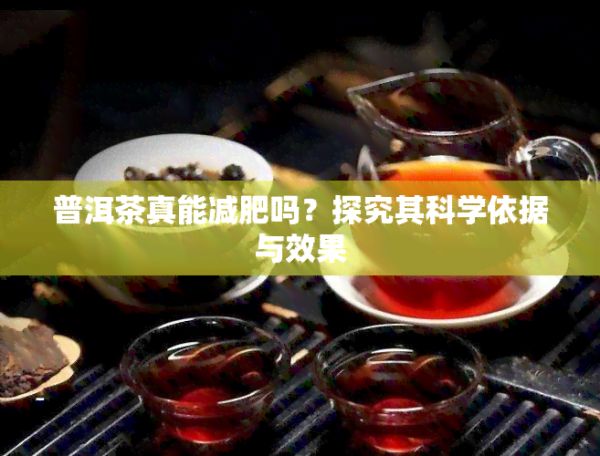 普洱茶真能減肥嗎？探究其科學(xué)依據(jù)與效果