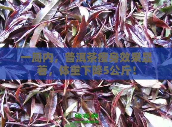 一周内，普洱茶瘦身效果显著，体重下降5公斤！
