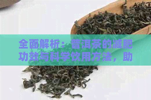 全面解析：普洱茶的減肥功效與科學(xué)飲用方法，助你輕松瘦身達(dá)成目標(biāo)