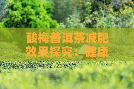 酸梅普洱茶減肥效果探究：健康飲品搭配解析