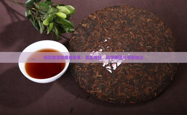 探究普洱茶瘦身效果：真實體驗、科學原理與專家建議